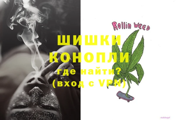 гидропоника Гусиноозёрск