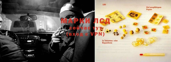 mdpv Гусев
