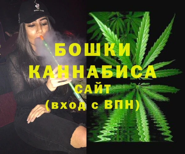 прущие грибы Гусь-Хрустальный