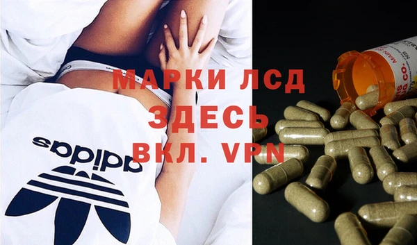 прущие грибы Гусь-Хрустальный